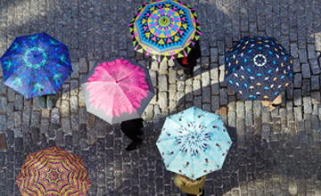 Collection Umbrella