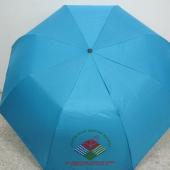 Fold Umbrella