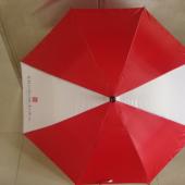 24 Umbrella