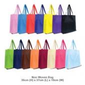 NON-WOVEN / NYLON BAG