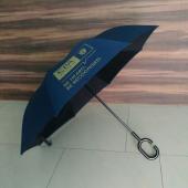 Upside Down Umbrella